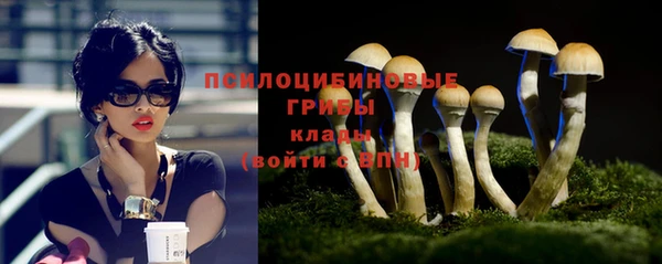крисы Беломорск
