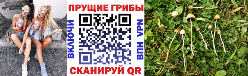 Псилоцибиновые грибы ЛСД  OMG вход  Сегежа 