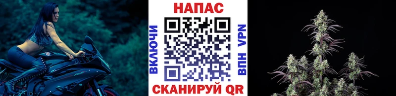 Марихуана семена  OMG маркетплейс  Сегежа 